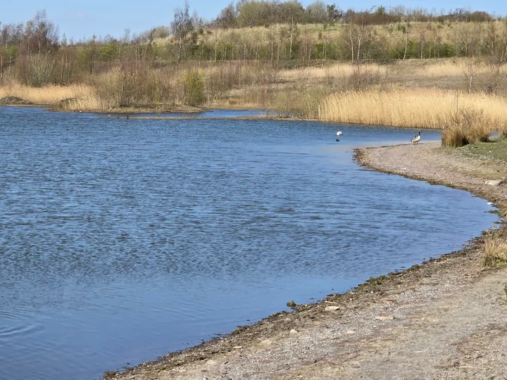 Pleasley Pit Country Park & Local Nature Reserve