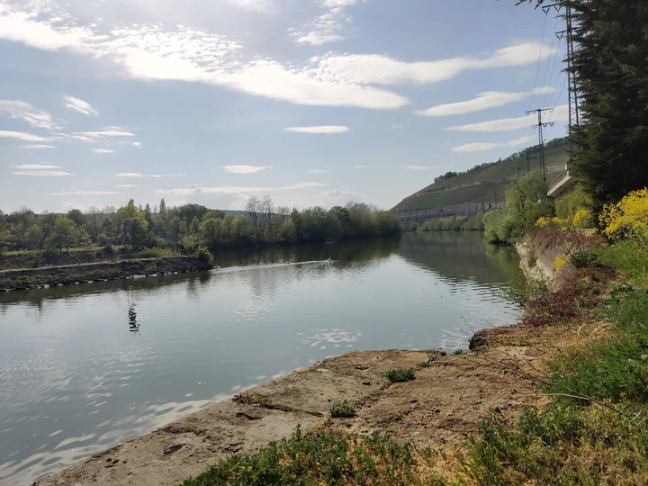 Alter Hafen Wrzburg