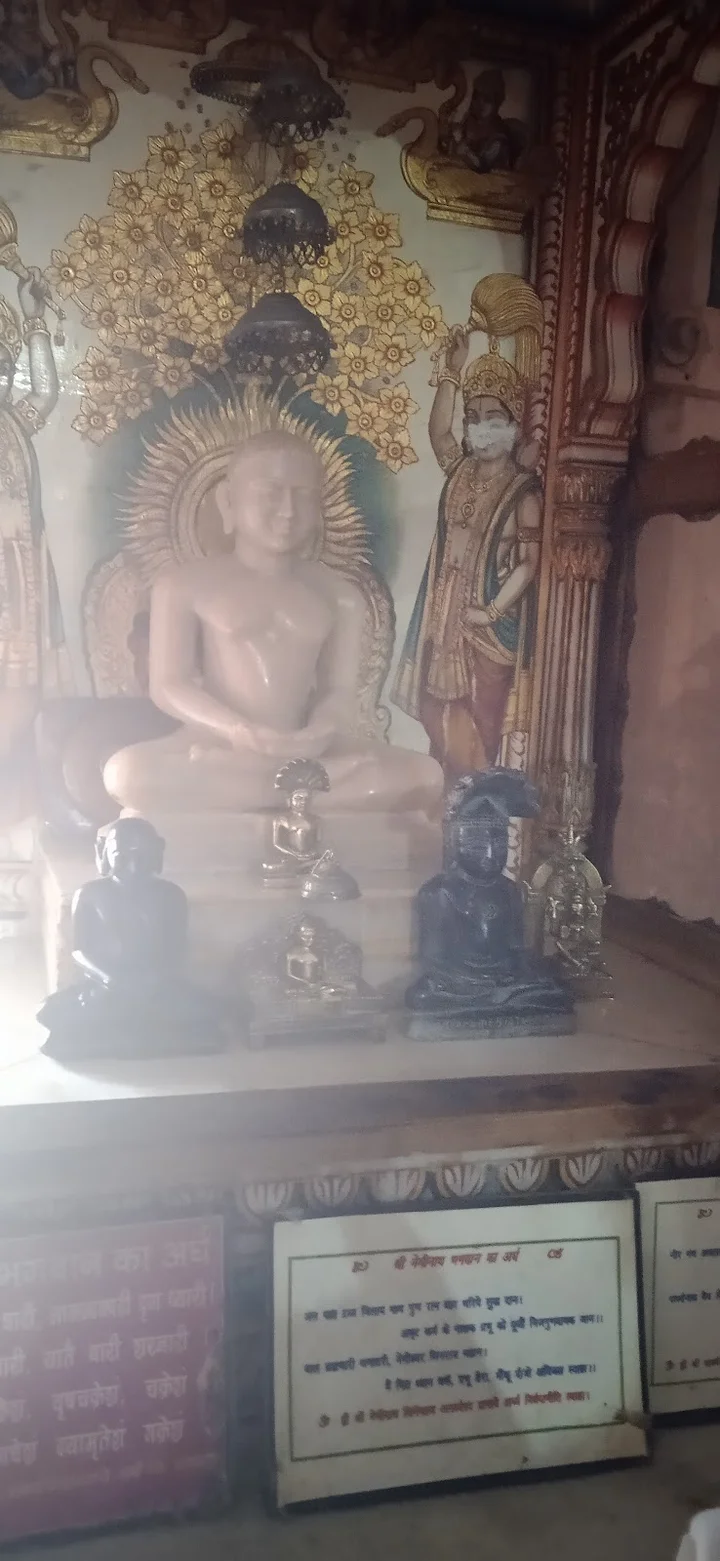 Jain Temple in Nawa, Rajasthan | What to Know Before You Go