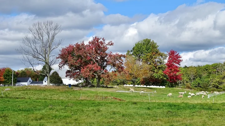 Crystal Spring Farm | What to Know Before You Go