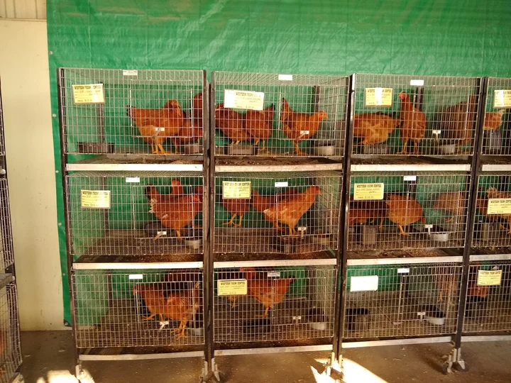 Western Farm Center in Santa Rosa, California | Ask Anything