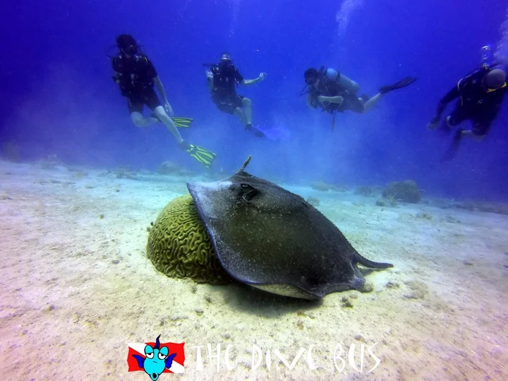 The Dive Bus, Curacao & Scubapro, Curacao