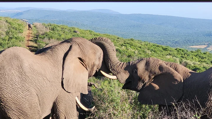 Thula Thula Private Game Reserve - Ask AI | mindtrip