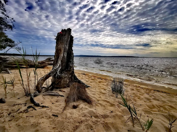 Lake Cootharaba in Boreen Point, Queensland | Ask Anything