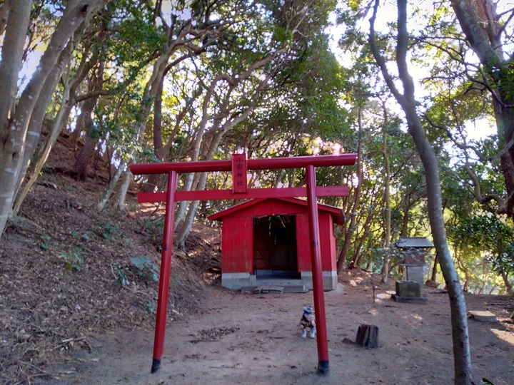Kodake in Fukuoka, Fukuoka Prefecture - Ask AI | mindtrip