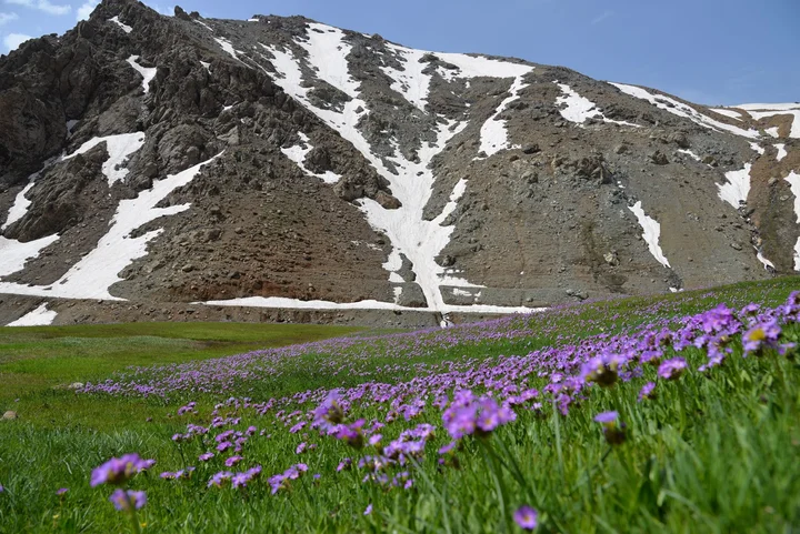 Halgurd Mountain in Choman - Ask AI | mindtrip