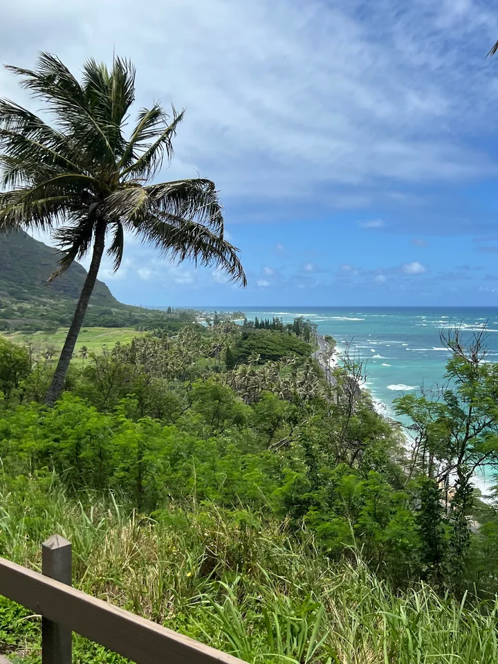 Jurassic Kahili Ranch, Kauai in Kilauea - Ask AI | mindtrip