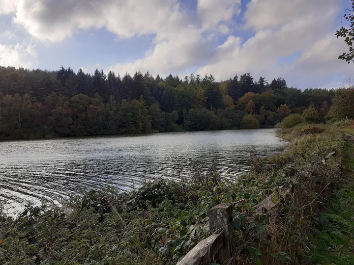 Ardingly Reservoir in Ardingly, England | Ask Anything