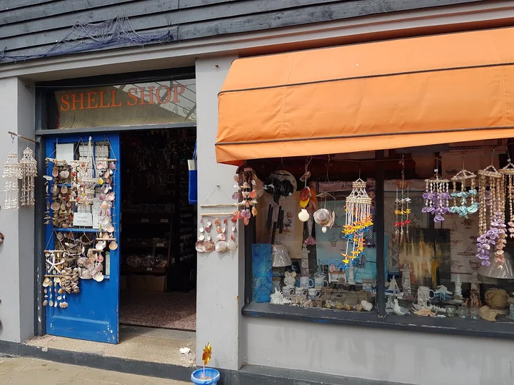 The Shell Shop in Folkestone | What to Know Before You Go