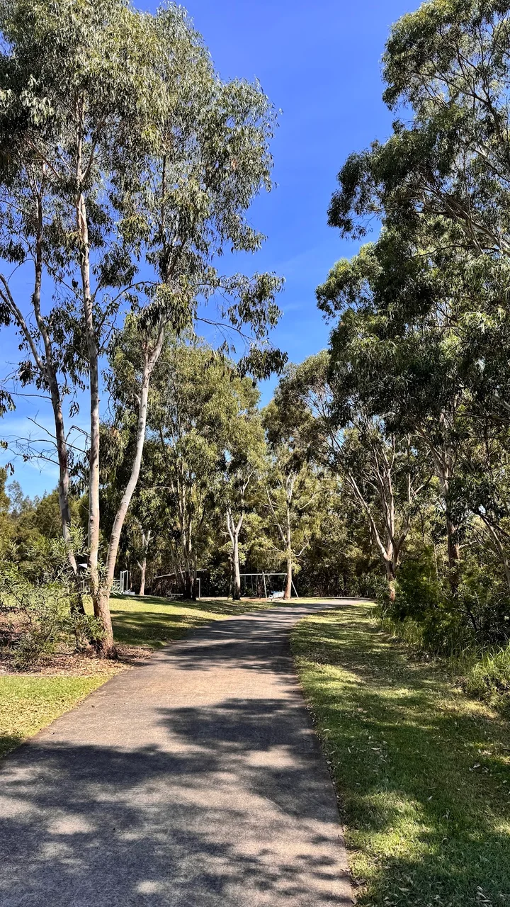 Wyee Point Reserve in Bonnells Bay | Ask Anything