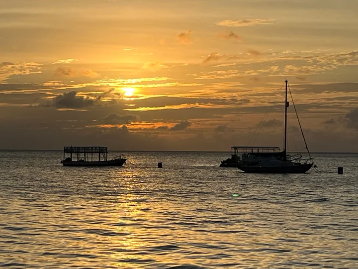 Tiami Catamaran Cruises | What to Know Before You Go