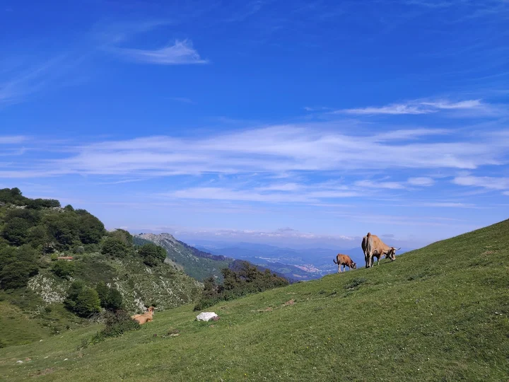 Mugarra in Manaria, Basque Country - Ask AI | mindtrip