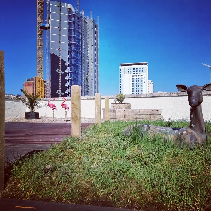Jacobs Roof Garden in Cardiff, Wales | Ask Anything