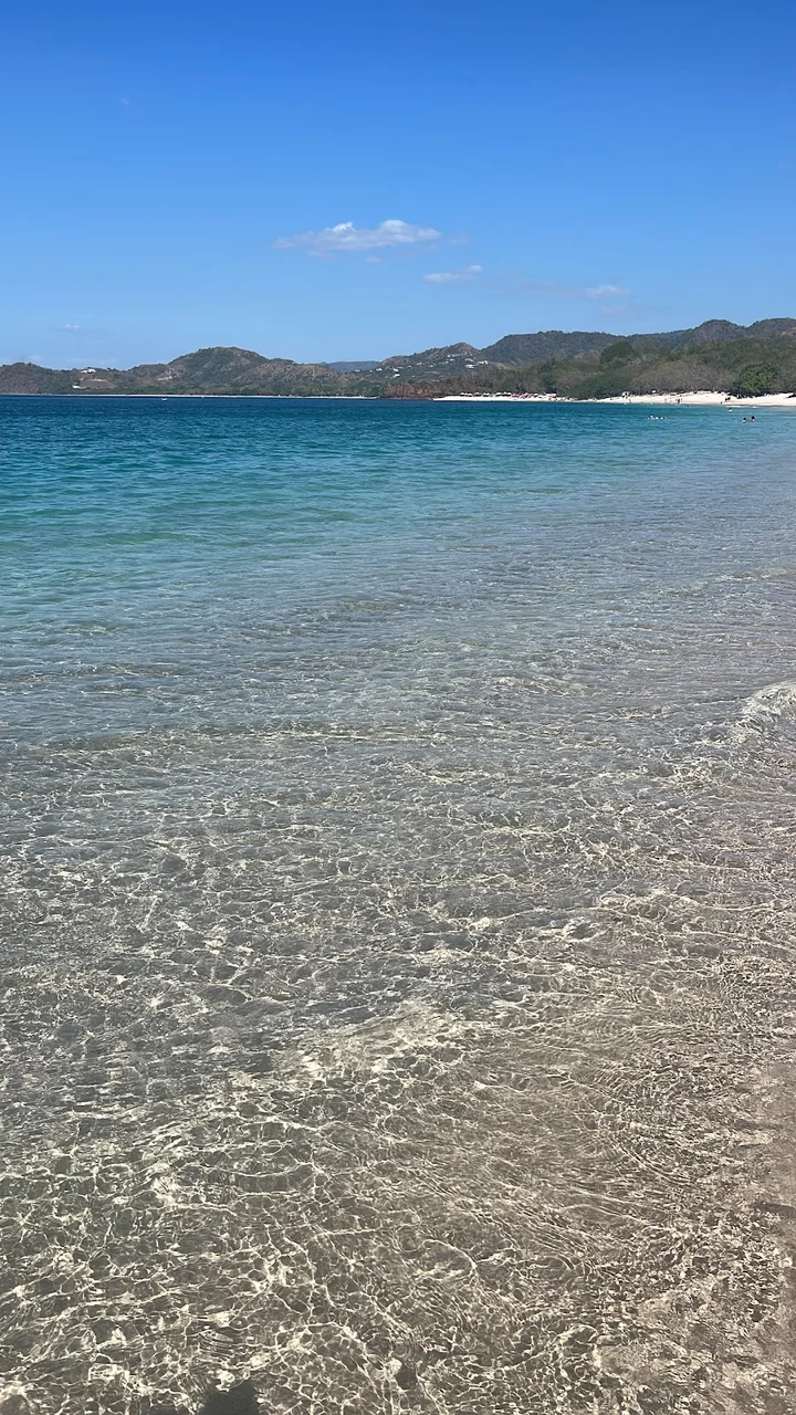 Playa Conchal in Playa Conchal | Ask Anything