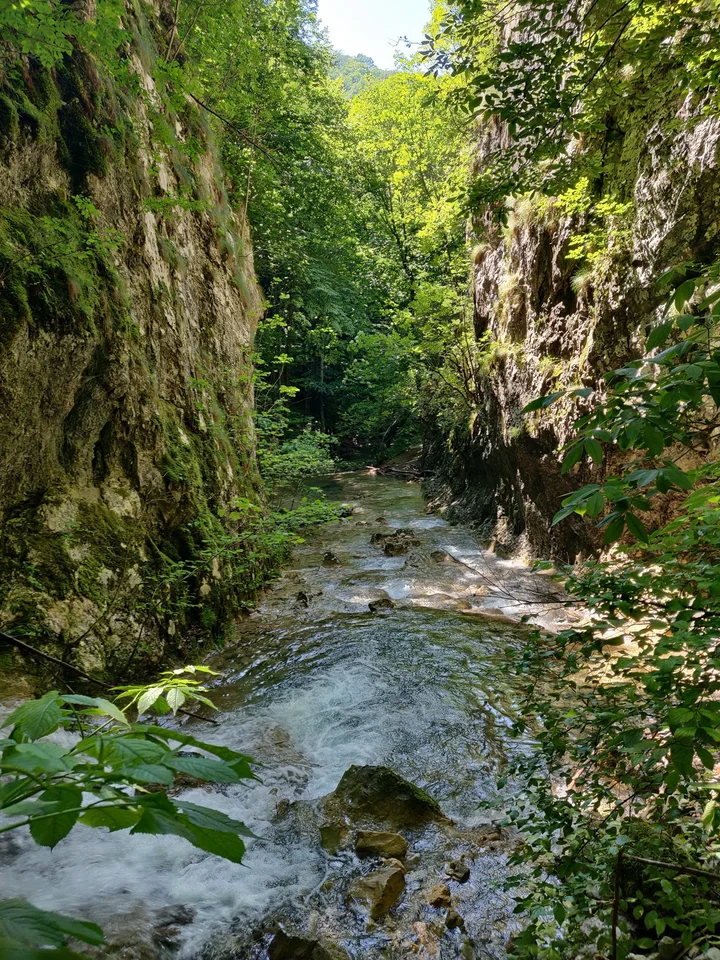 Cascada Şuşara in Sasca Montana | What to Know Before You Go