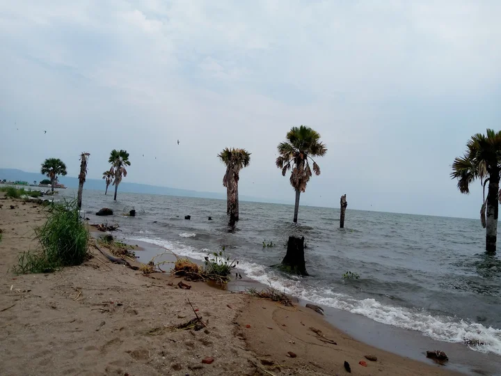 Butiaba landing site in Western Region - Ask AI | mindtrip