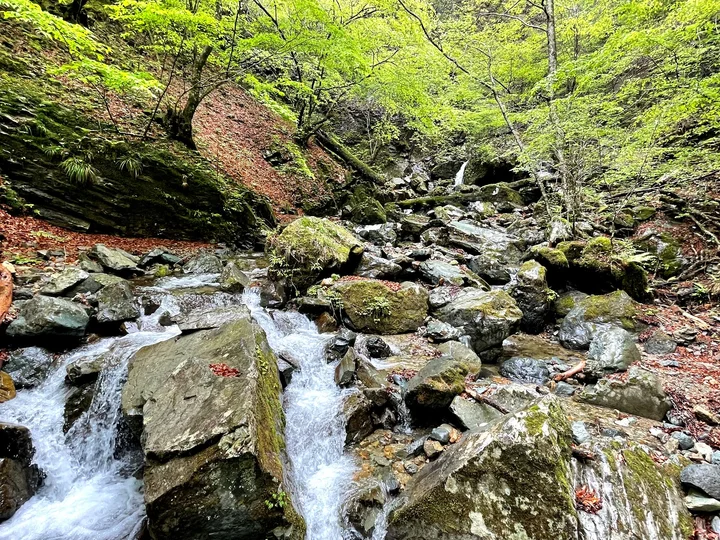 Ryuka Falls in Nasushiobara - Ask AI | mindtrip