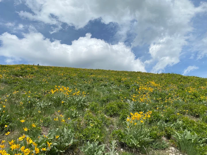 Mt Wire in Salt Lake City, Utah - Ask AI | mindtrip
