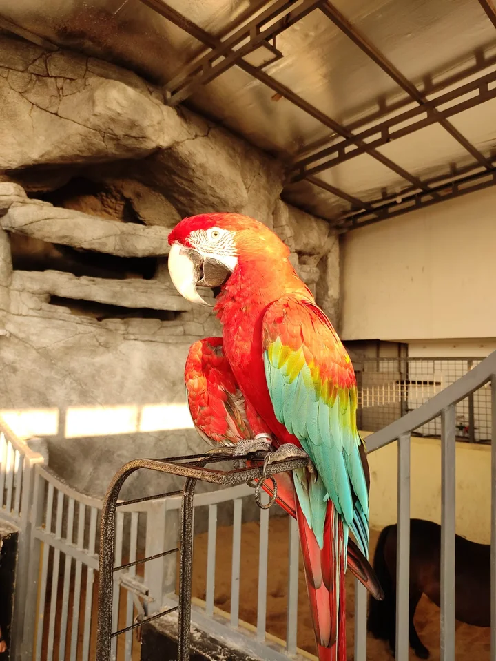 PetStation, Mattool,Kannur | What to Know Before You Go