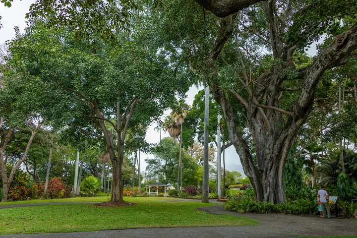 Foster Botanical Garden in Honolulu, Hawaii | Ask Anything