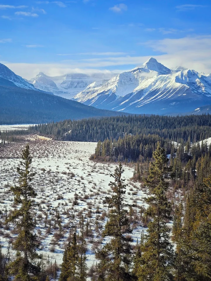 Howse Pass Viewpoint | Ask Anything