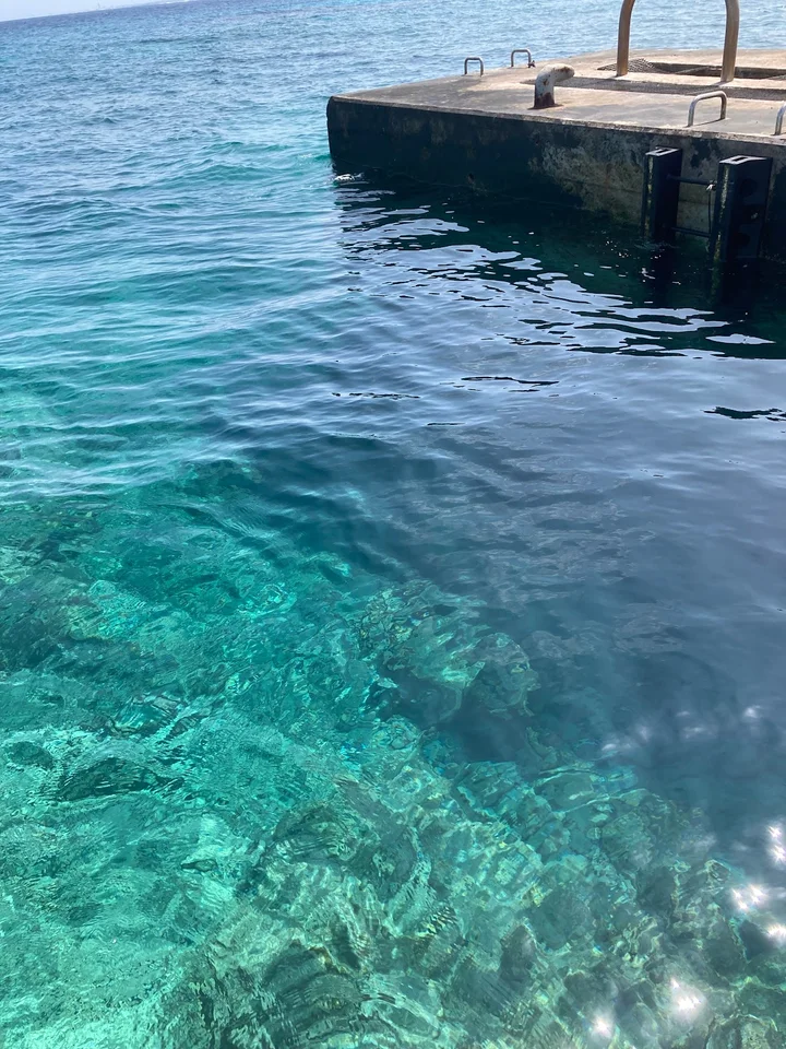 Rukan Reef in Itoman, Okinawa | What to Know Before You Go