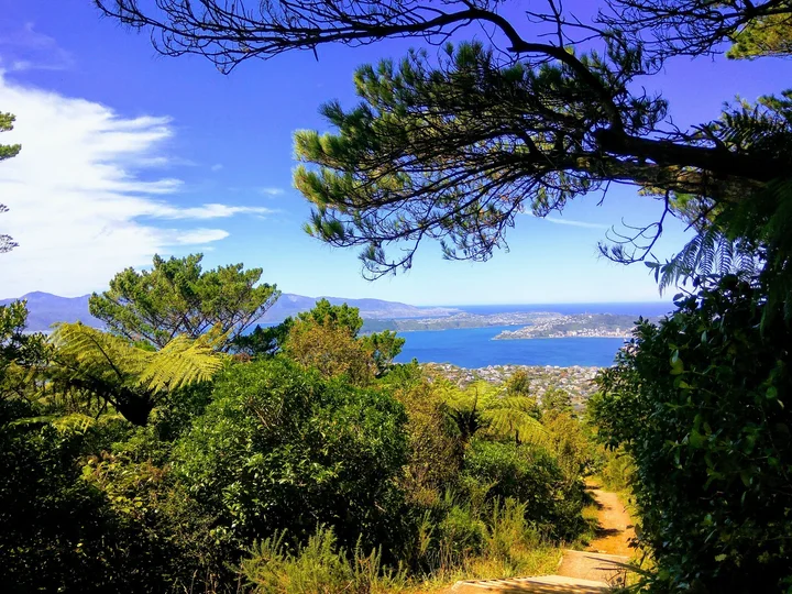 Khandallah Park in Wellington | Ask Anything