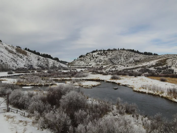 Salt River in Star Valley Ranch | What to Know Before You Go