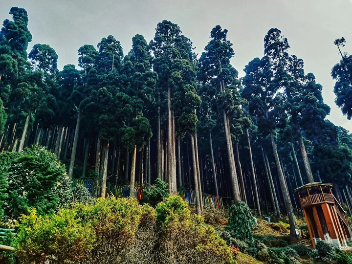 Lamahatta in Tukdah, West Bengal - Ask AI | mindtrip