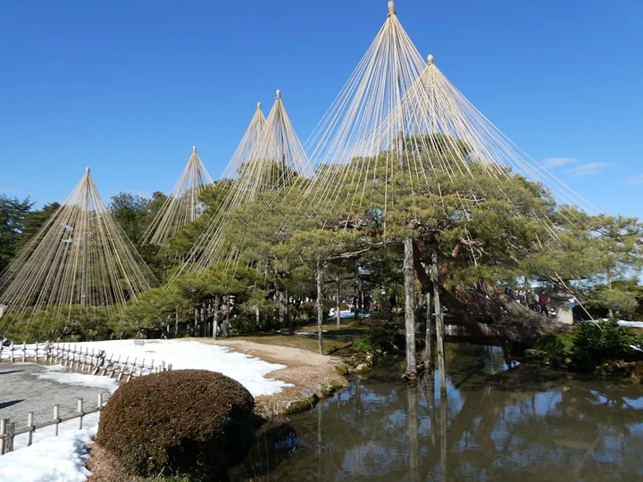 2 - Karasaki Matsu (Pine Tree) | What to Know Before You Go