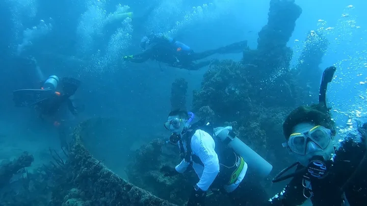 Scuba-Fun Dive Center in Sunset Point | Ask Anything