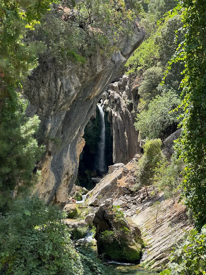 Ruta Río Borosa in Coto Rios, Andalusia - Ask AI | mindtrip
