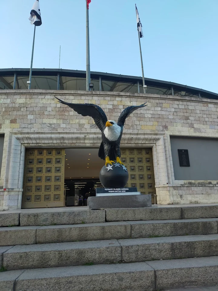 Beşiktaş Stadyumu in Istanbul, İstanbul | Ask Anything