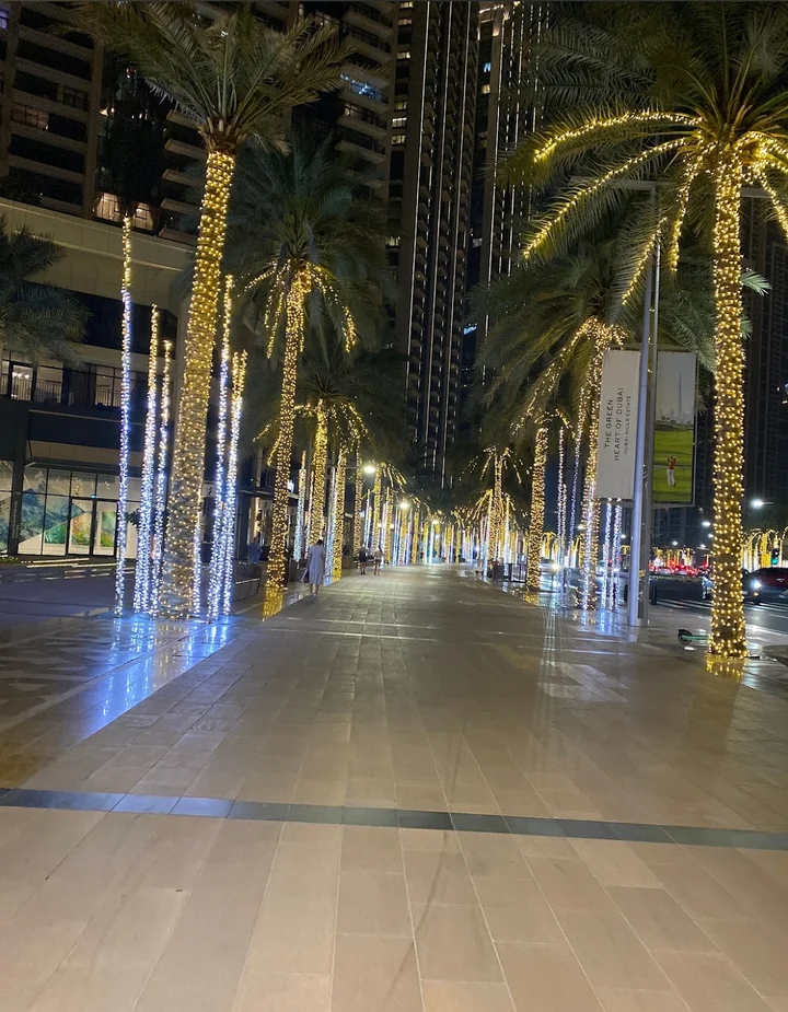 Sheikh Mohammed bin Rashid Boulevard - Ask AI | mindtrip