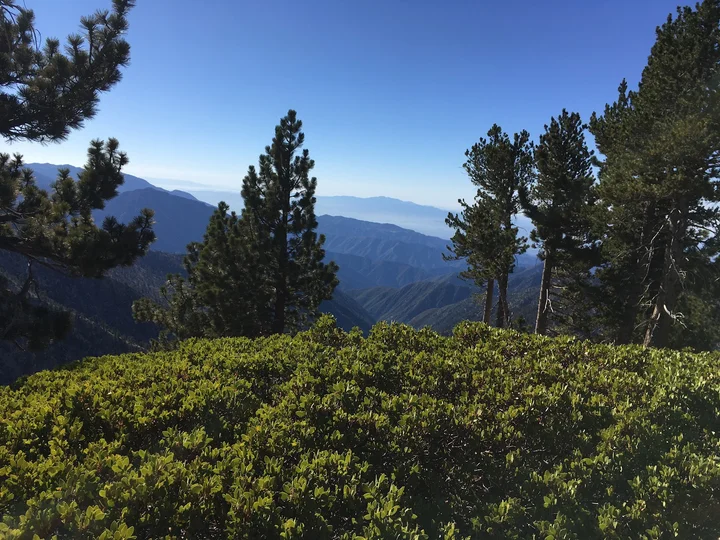 Mt Burnham in Valyermo, California | Ask Anything