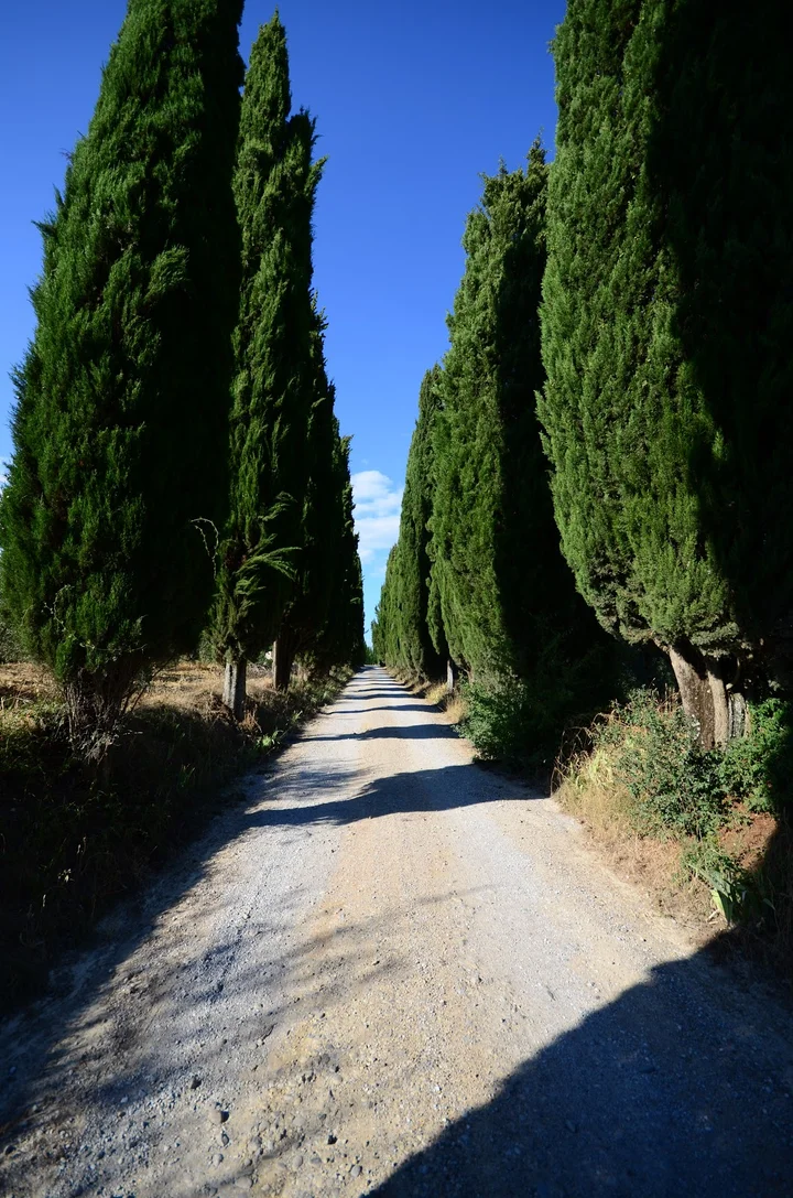 Pacina in Castelnuovo Berardenga, Toscana | Ask Anything