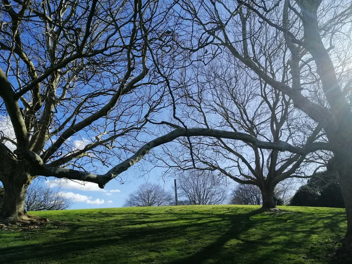 Pukekaroa Hill in Auckland - Ask AI | mindtrip