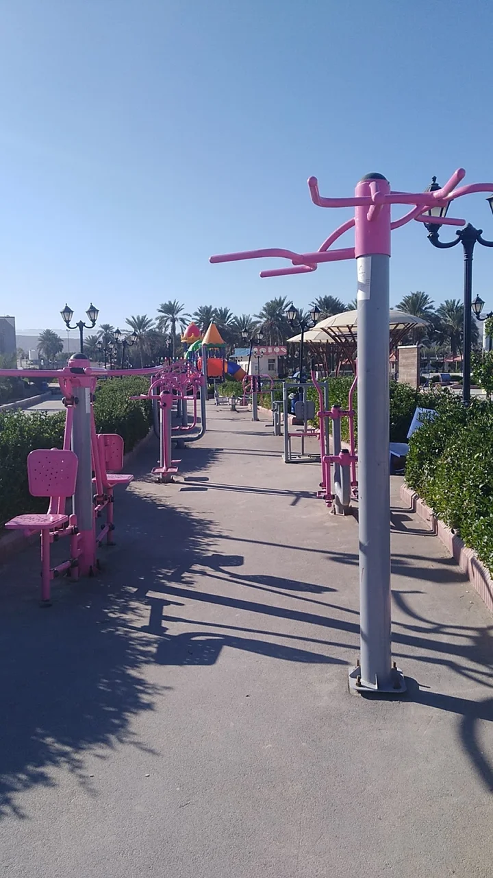 Larestan Palm Park in Lar, Fars Province - Ask AI | mindtrip