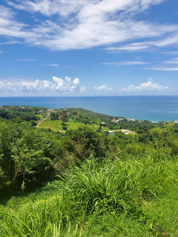 El Cocal Beach in Maunabo, Puerto Rico - Ask AI | mindtrip