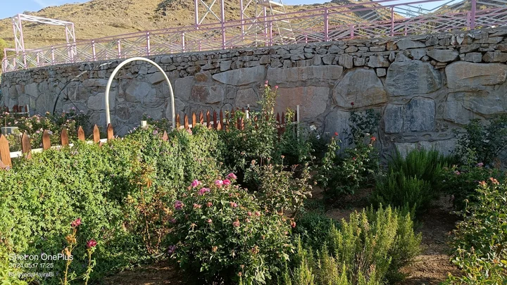 Rose Garden And Strawberry Farm Taif - Ask AI | mindtrip