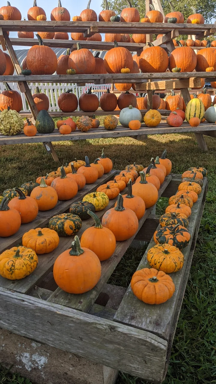 Cold Spring Farm in Colchester - Ask AI | mindtrip