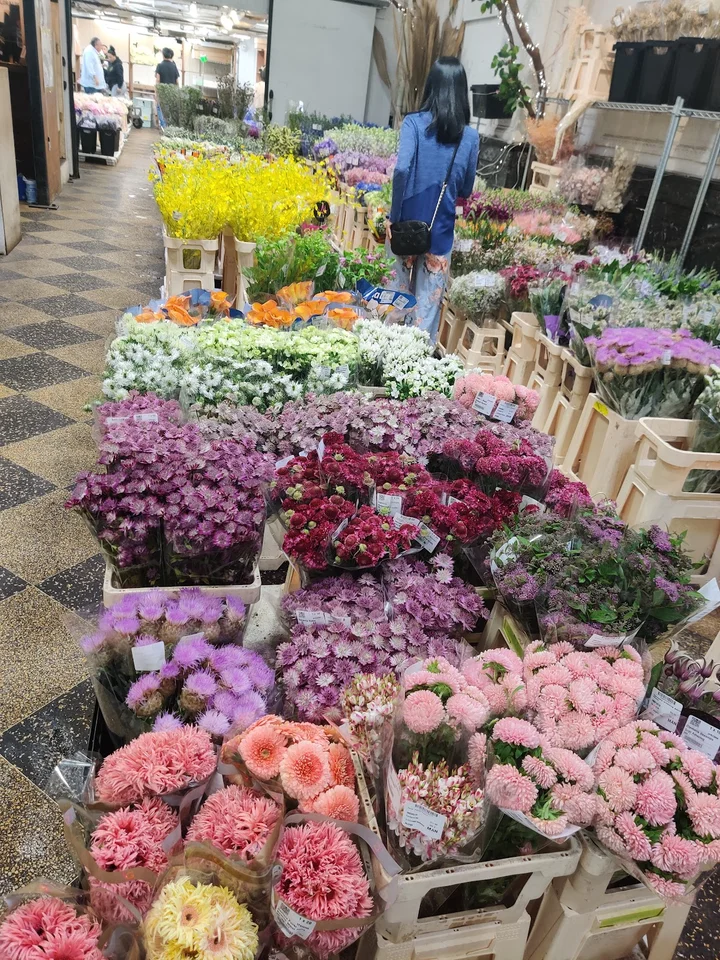 Dutch Flower Line, Inc. | What to Know Before You Go