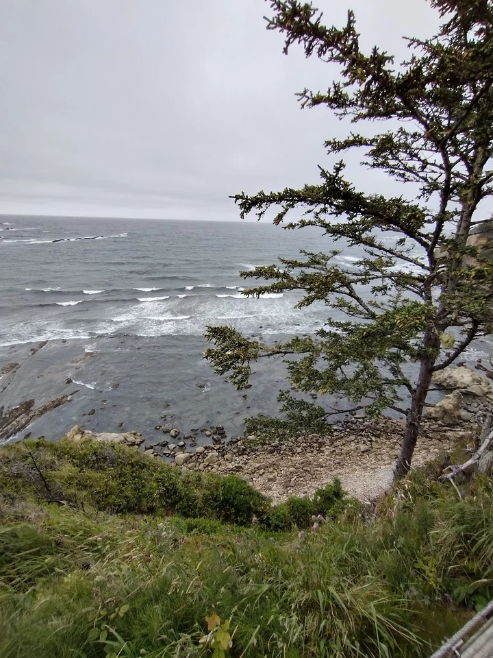 Simpson Reef Overlook in Charleston, Oregon | Ask Anything