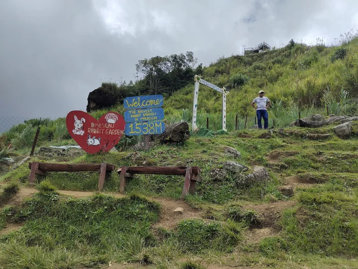 D'Mesilau Rabbit Garden | What to Know Before You Go