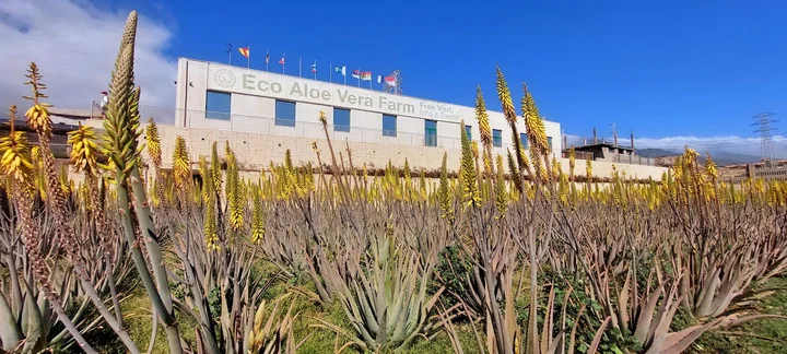 Finca Ecolgica Alma de Trevejos