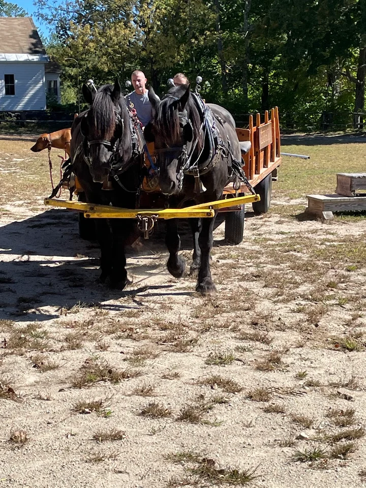 Silver Ranch Stables in Jaffrey | What to Know Before You Go