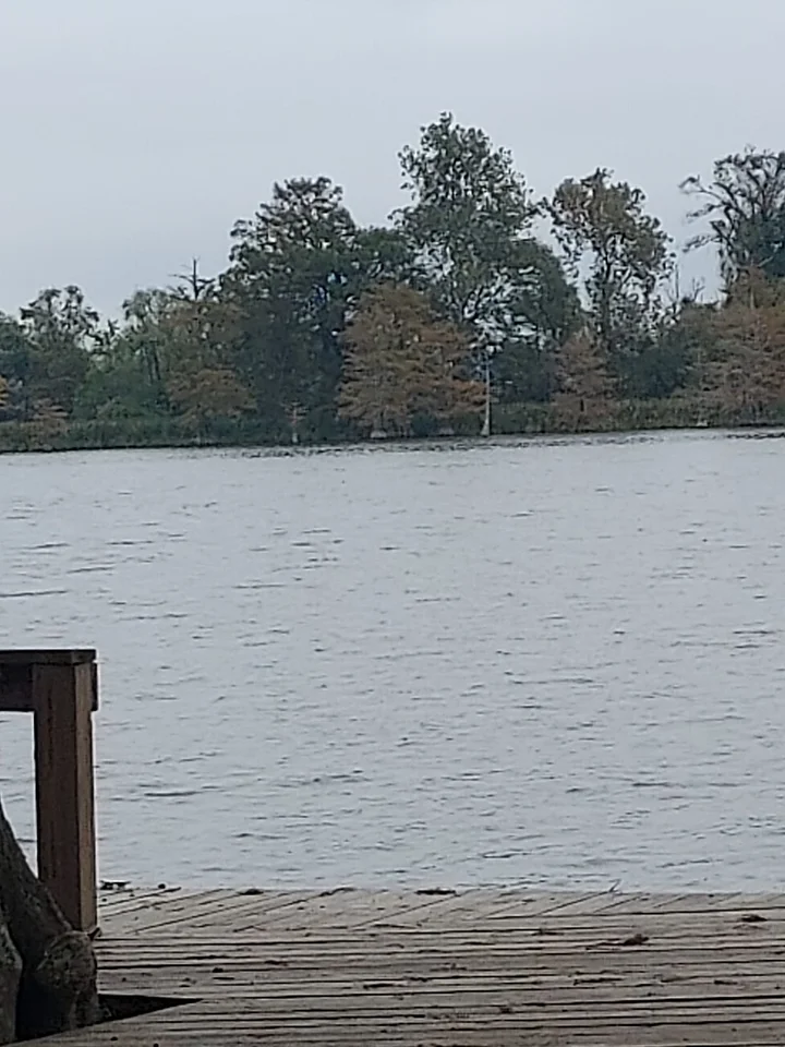 Lake Concordia in Ferriday, Louisiana - Ask AI | mindtrip
