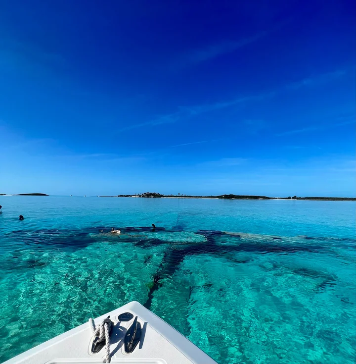 Born Free Charters - Ask AI | mindtrip