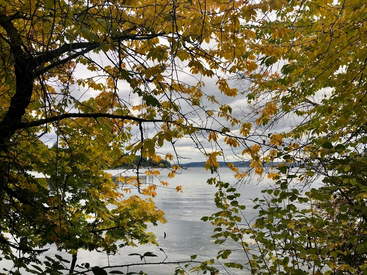 Wetherill Nature Preserve - Ask AI | mindtrip