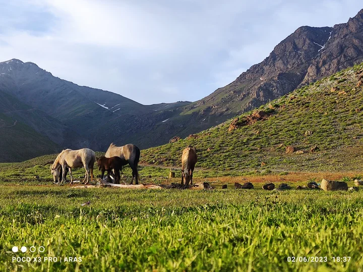 Halgurd Mountain in Choman - Ask AI | mindtrip